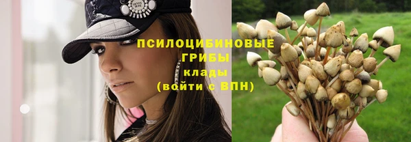 СК Волосово