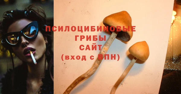 СК Волосово