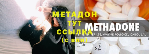 стаф Вязьма