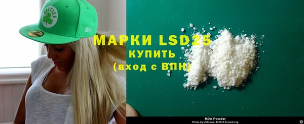 стаф Вязьма