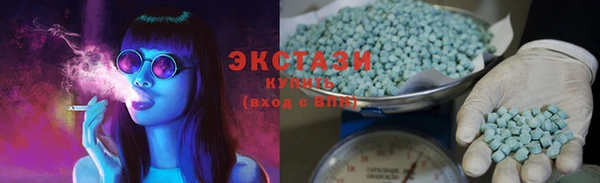 стаф Вязьма