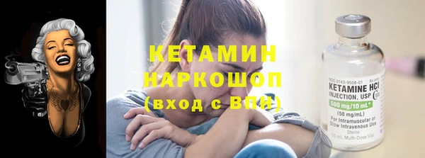стаф Вязьма