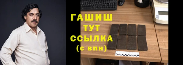 стаф Вязьма