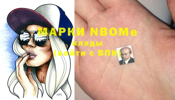 стаф Вязьма