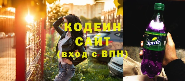 стаф Вязьма