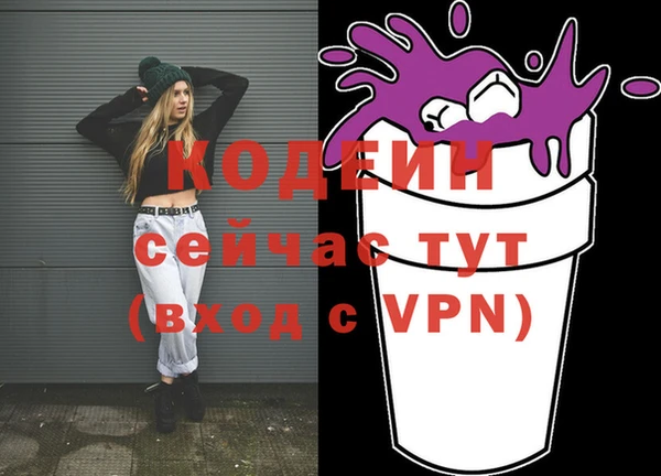 стаф Вязьма