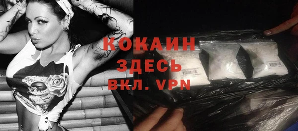 стаф Вязьма